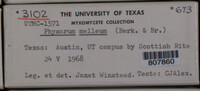 Image Associated With the Occurence
